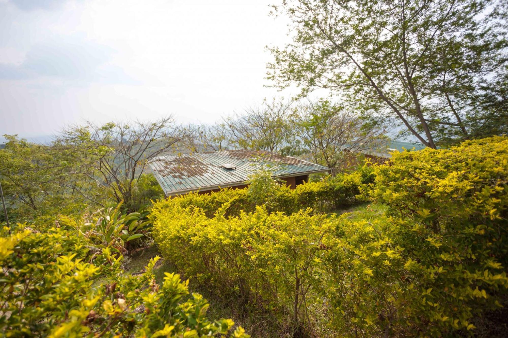 Lake Mwamba Lodge Kasenda Eksteriør billede