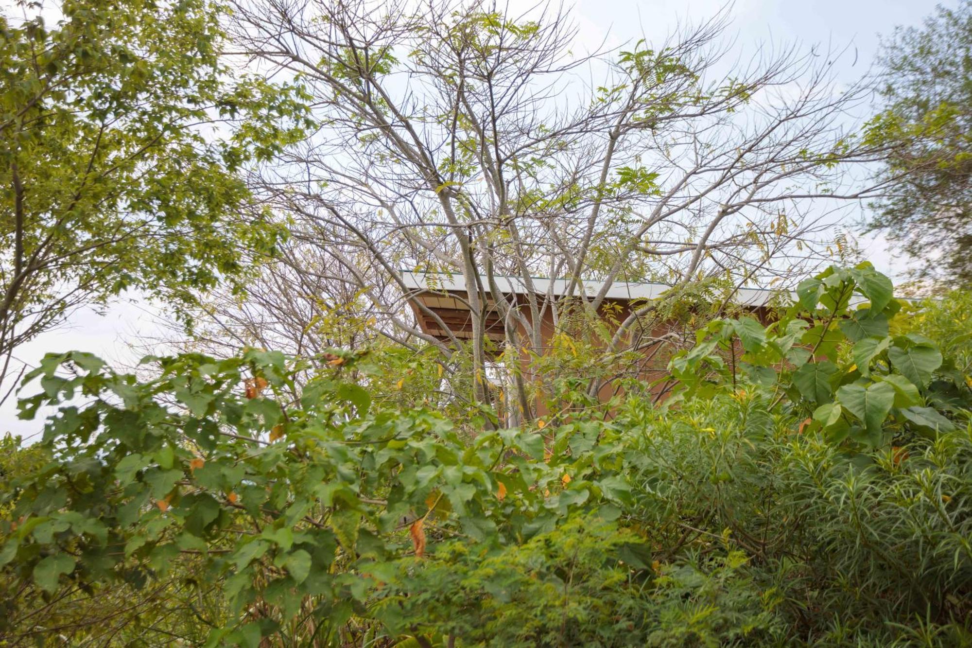 Lake Mwamba Lodge Kasenda Eksteriør billede